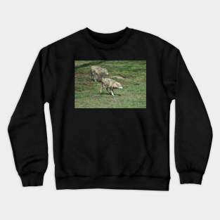 Wolves Crewneck Sweatshirt